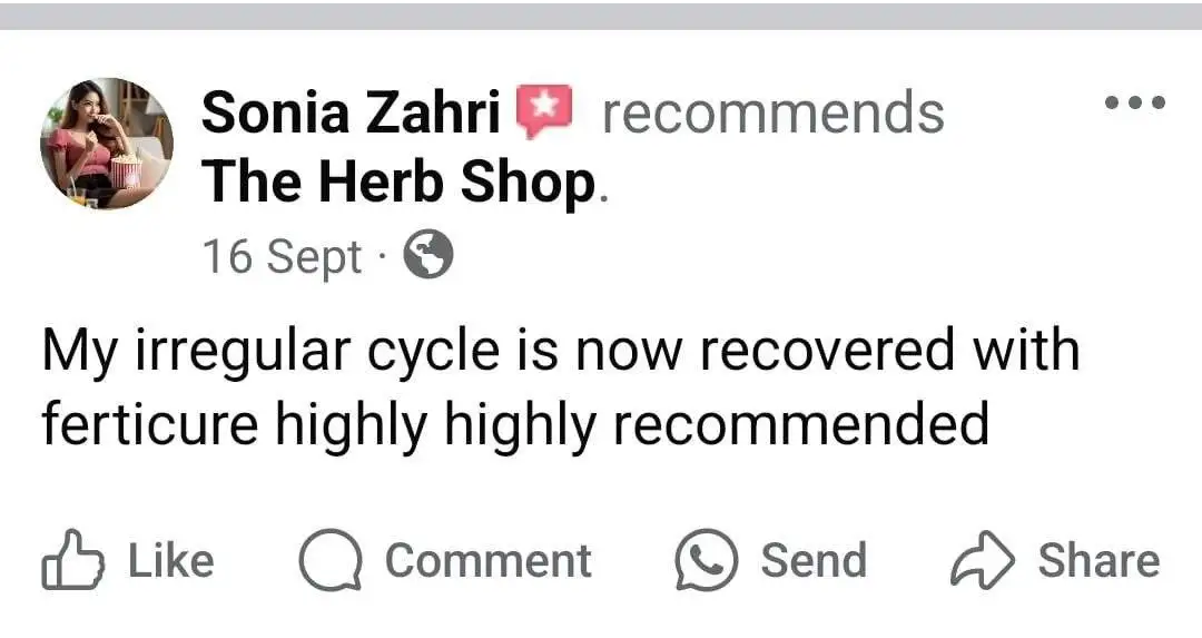 WhatsApp Image 2024-10-07 at 2.44.52 PM