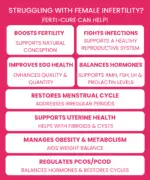 Ferti - Cure - Image 2