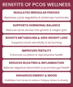 PCOS Wellness - Image 2